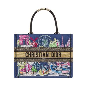 Dior Book Tote In Souvenir Paris Embroidered Raffia Blue