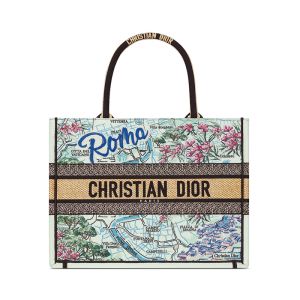 Dior Book Tote In Souvenir Rome Embroidered Raffia Green