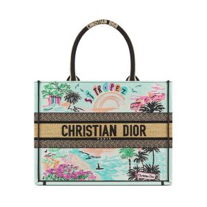 Dior Book Tote In Souvenir St-Tropez Embroidered Raffia Green