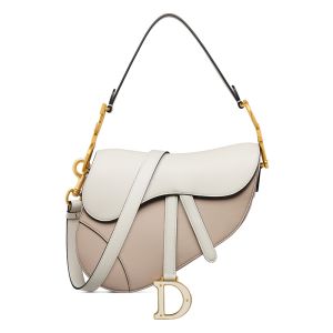 Dior Saddle Bag with Strap In Supple Calfskin Apricot/White