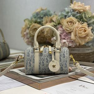 Dior Groove 17 Bag In Oblique Chambray Raffia Blue