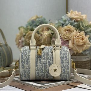 Dior Groove 20 Bag In Oblique Chambray Raffia Blue