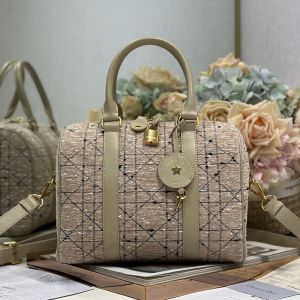 Dior Groove 25 Bag In Cannage Tweed Apricot