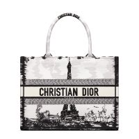 Dior Book Tote In Paris Eiffel Tower Motif Canvas White