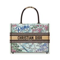 Dior Book Tote In Souvenir Rome Embroidered Raffia Green