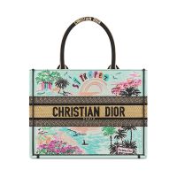 Dior Book Tote In Souvenir St-Tropez Embroidered Raffia Green