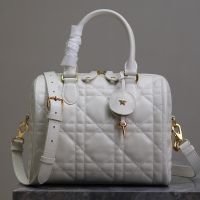 Dior Groove 25 Bag In Macrocannage Calfskin Apricot
